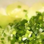 Салат из редьки с зеленым луком – рецепт с фото